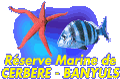 reserve marine.gif (7682 octets)